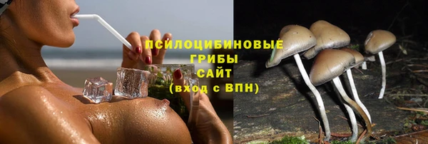метадон Алексин